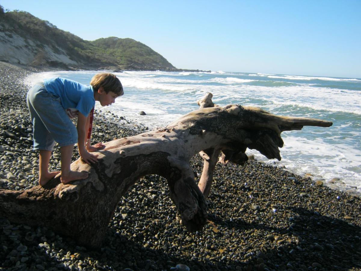 ホテル Driftwood Treehouse Sunrise-on-Sea エクステリア 写真